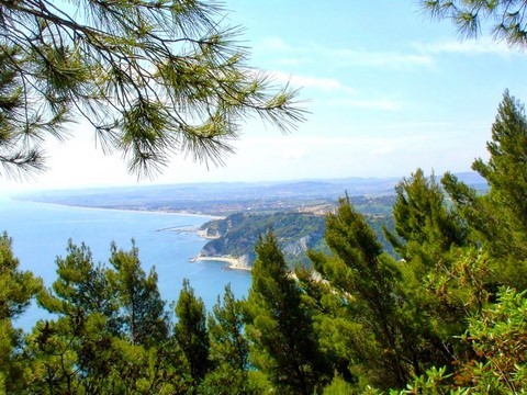 Sénigalia 2008