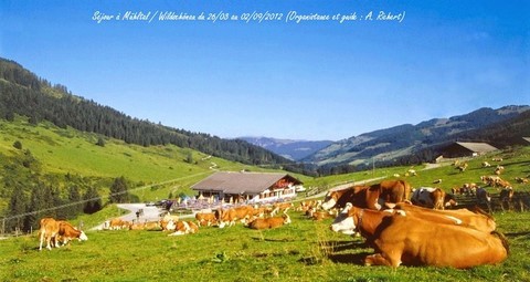 Mühltal