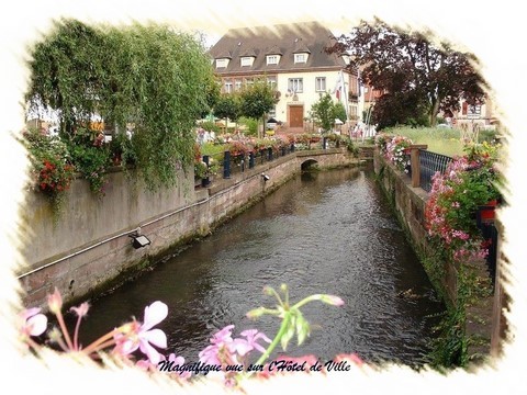 niederbronn-les-bains3