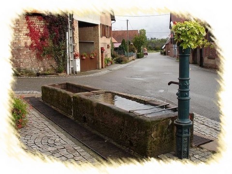 offwiller2